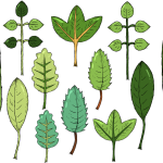 BG真人太鼓达人USDT支付版-BG真人太鼓达人最新手机版APP下载官方正版IOS安卓